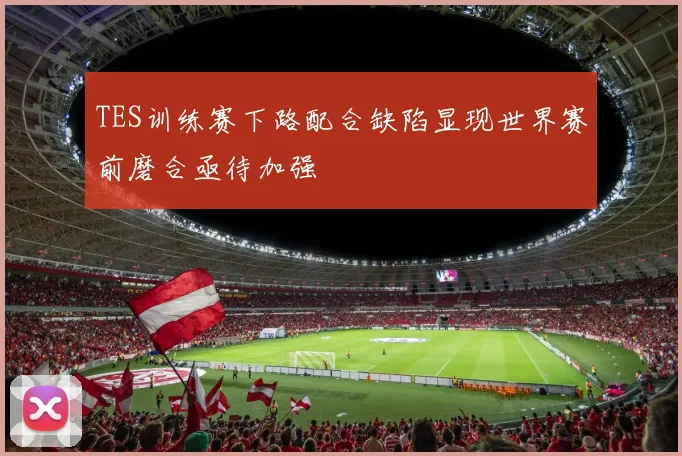 TES训练赛下路配合缺陷显现世界赛前磨合亟待加强